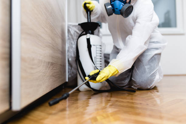 Best Affordable Pest Control Services  in Sammamish, WA