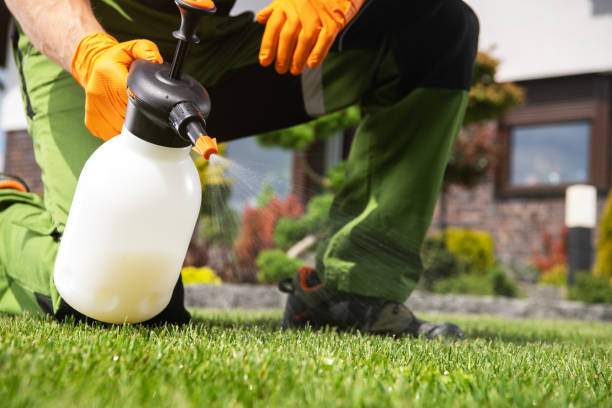Best Exterminator Services  in Sammamish, WA