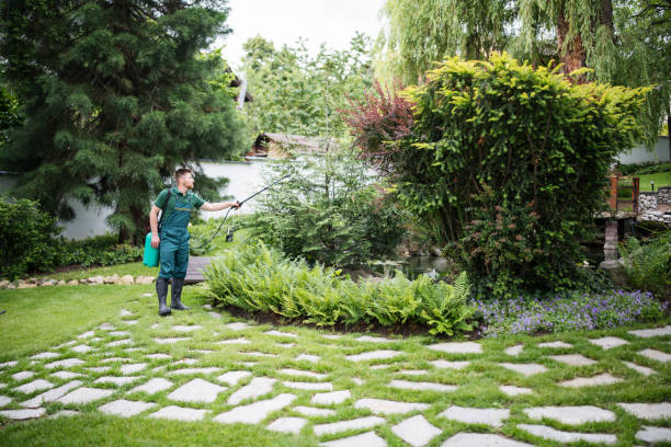 Best Mosquito Control Services  in Sammamish, WA