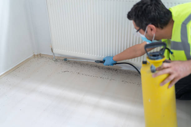 Trusted Sammamish, WA Pest Control Experts